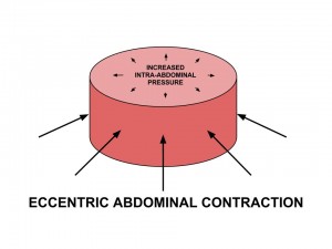 Increased IAP is optimized with an eccentric contraction of the abdominals & PF.  This maintains ZOA and causes 3-dimensional expansion of the lower ribcage.