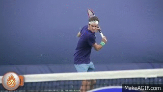 Federer Contact Point