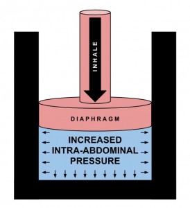 Contraction of the diaphragm acts as a pistol, creating increased IAP