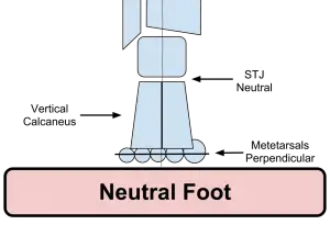 Neutral Foot Alignment