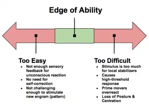 Gray Cook's Edge of Ability Concept