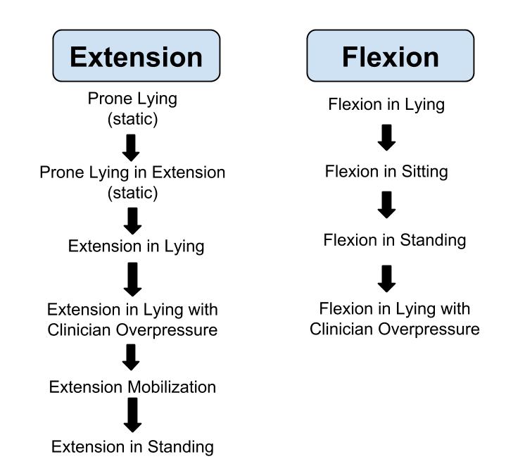 Extension & Flexion Progressions