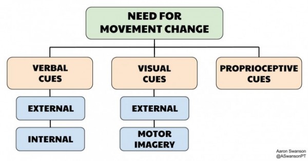 Knowing how to influence movement with cues starts with understanding the different types of cues