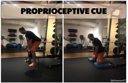 Regressing the posture is another way to alter the afferent proprioceptive input.