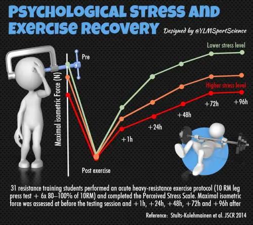 Stress & Recovery