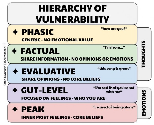 hierarchy of vulnerability swanson